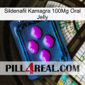 Sildenafil Kamagra 100Mg Oral Jelly 04